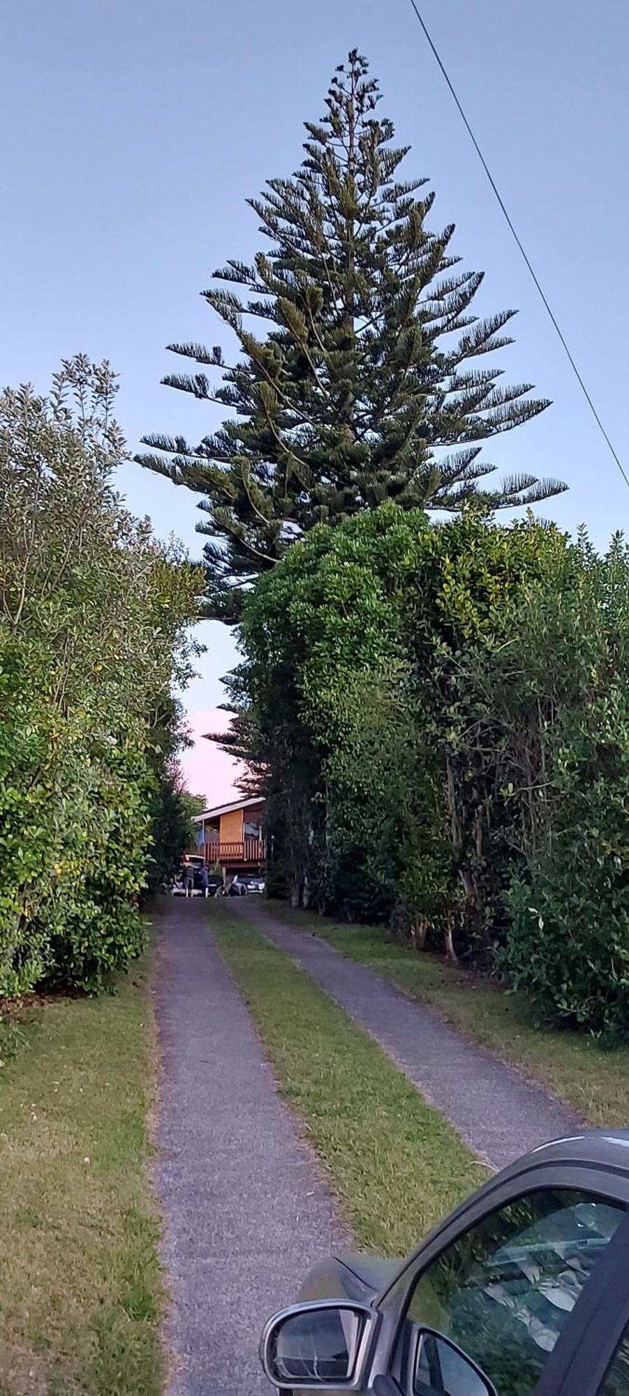 Haley'S Cabin Tauranga Extérieur photo