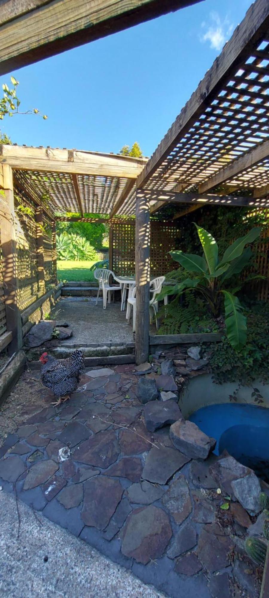 Haley'S Cabin Tauranga Extérieur photo
